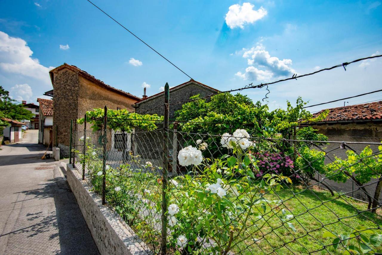 דירות Ajdovščina Apartma Bajc מראה חיצוני תמונה